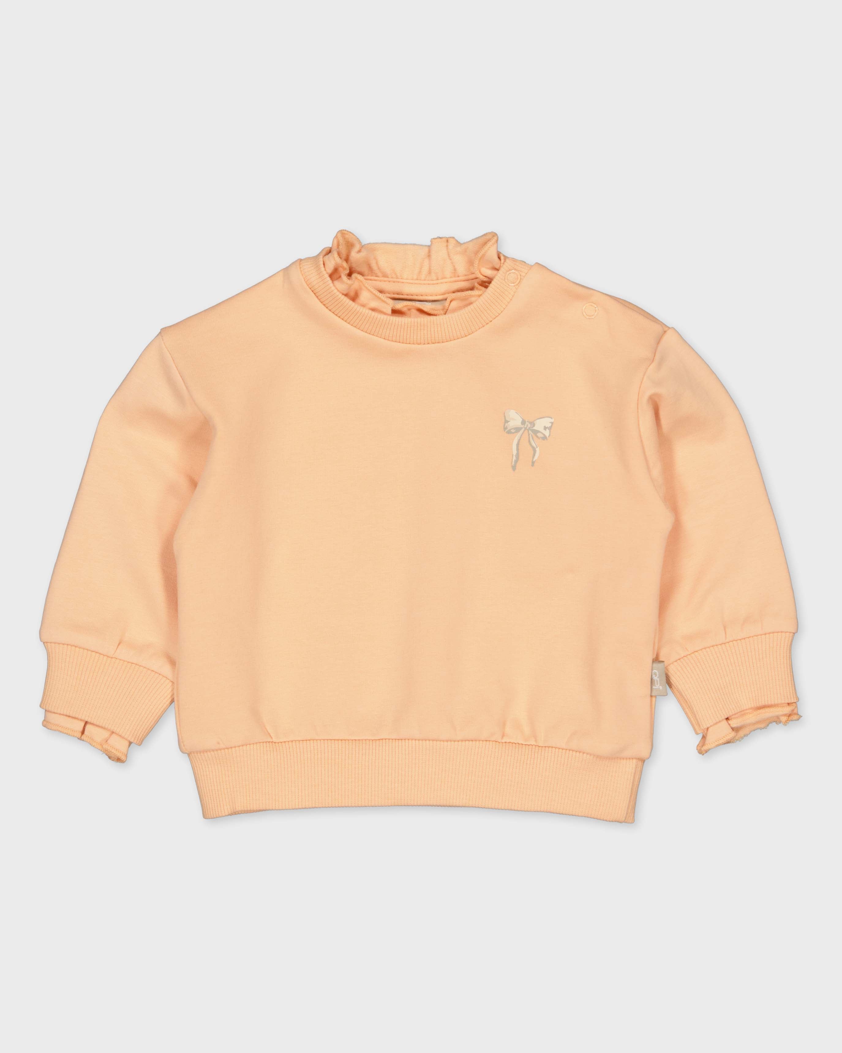 Licht perzikkleurige sweater | Salmon