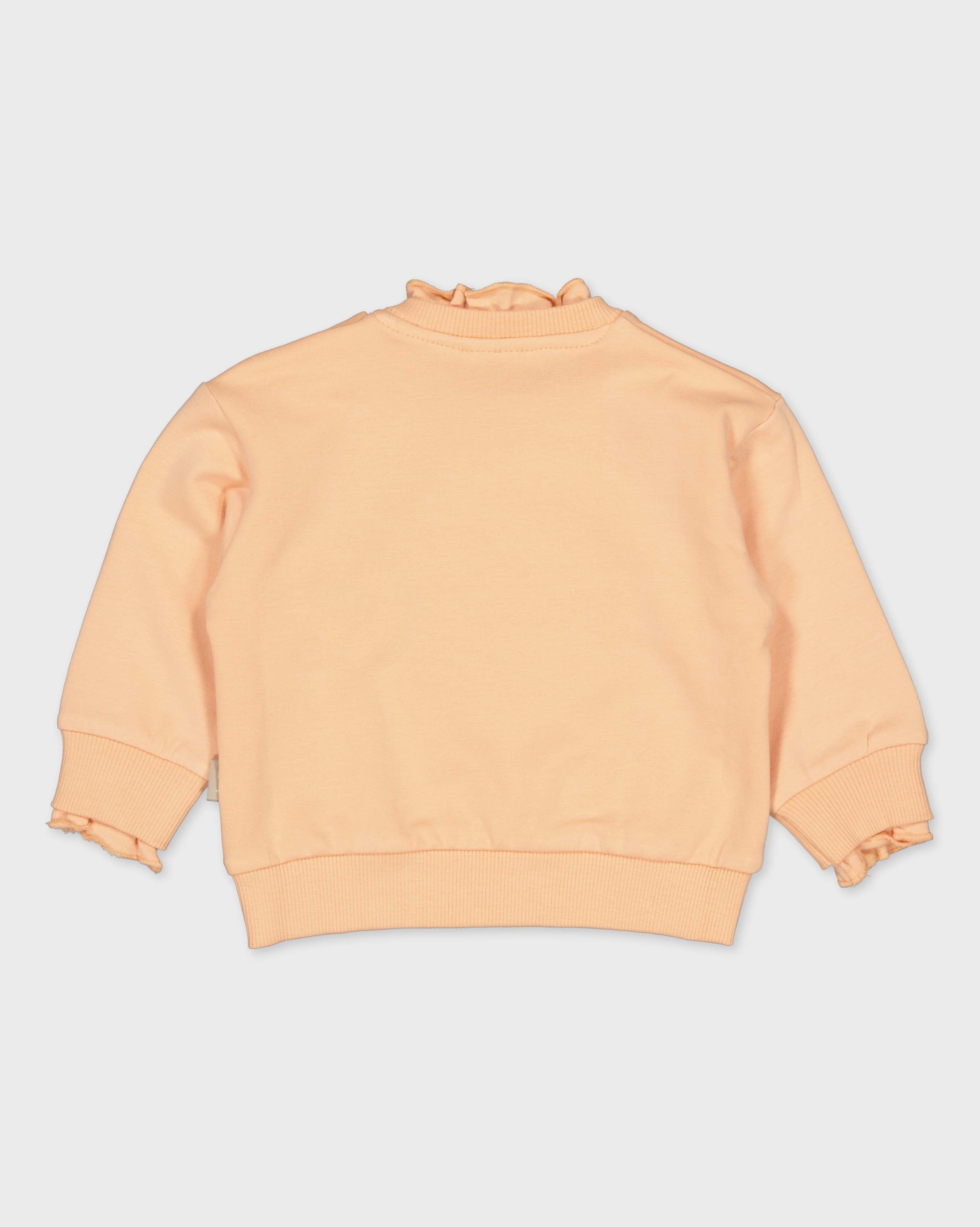 Licht perzikkleurige sweater | Salmon