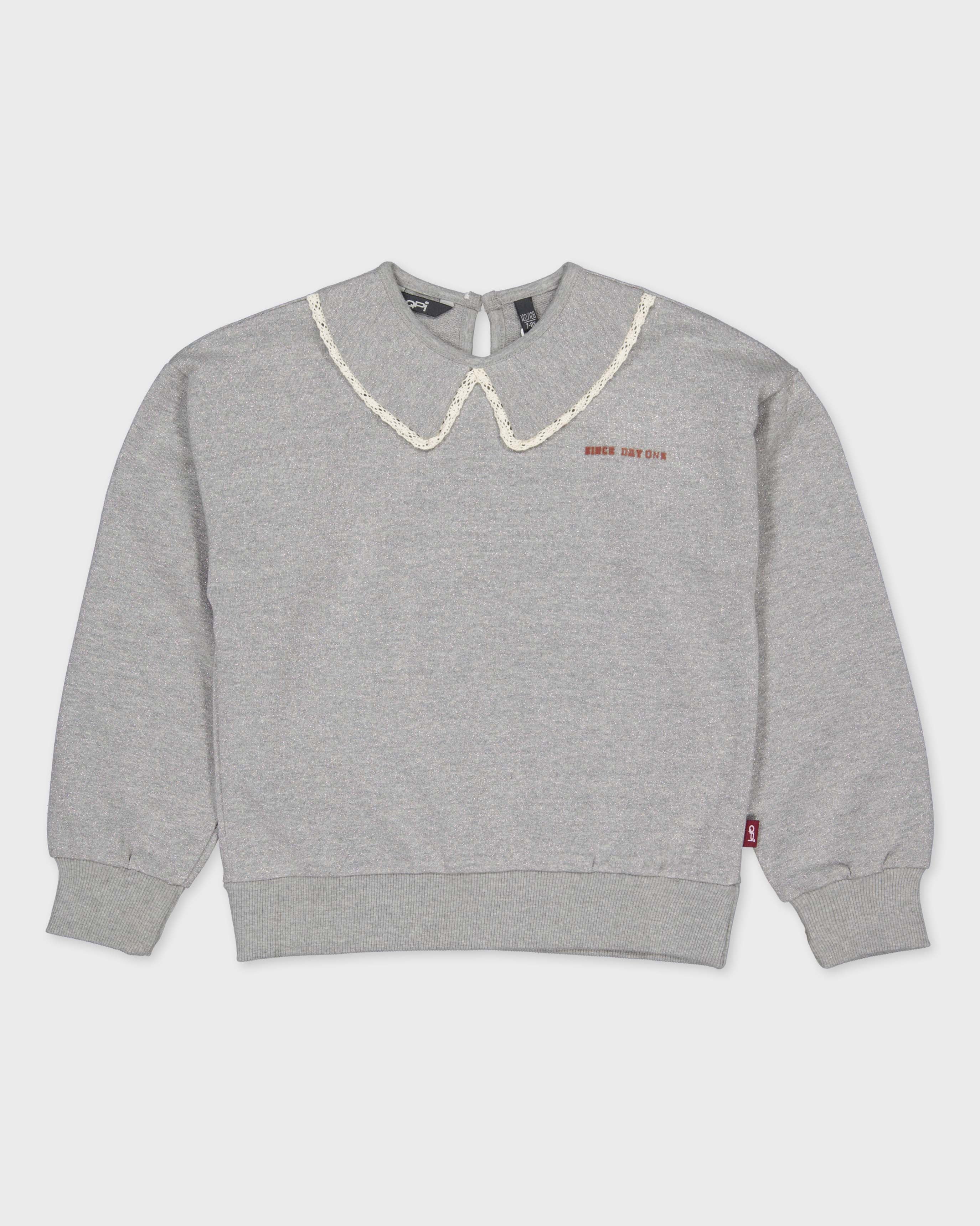 Lichtgrijze sweater met kraag | Silver