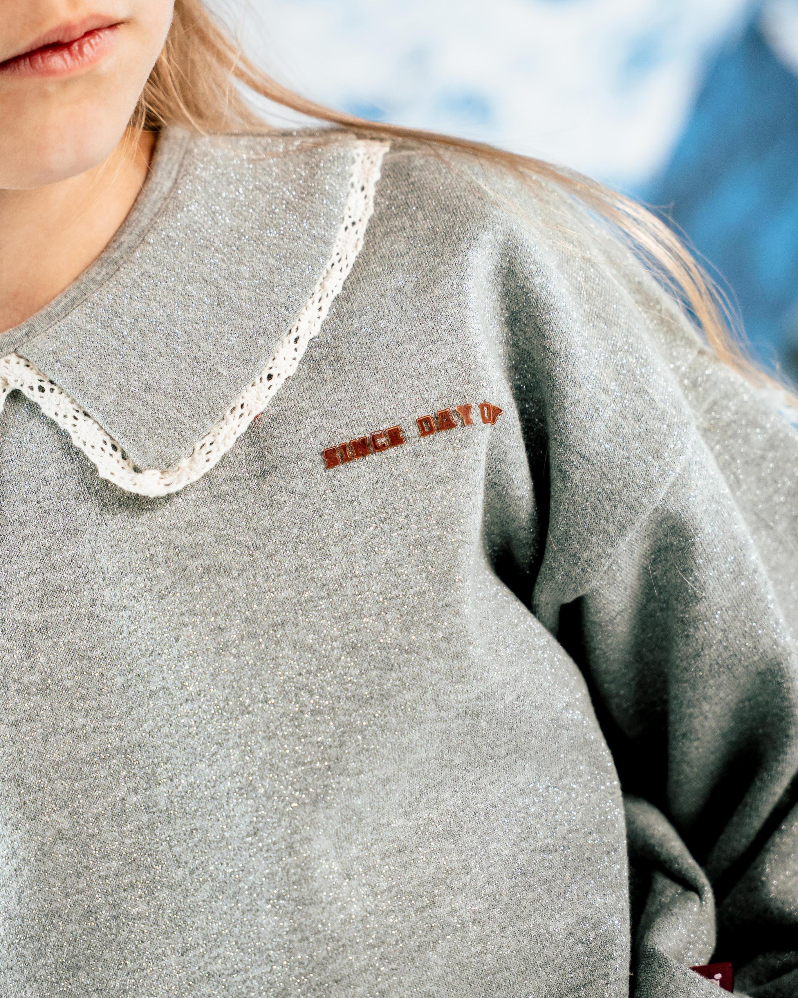 Lichtgrijze sweater met kraag | Silver