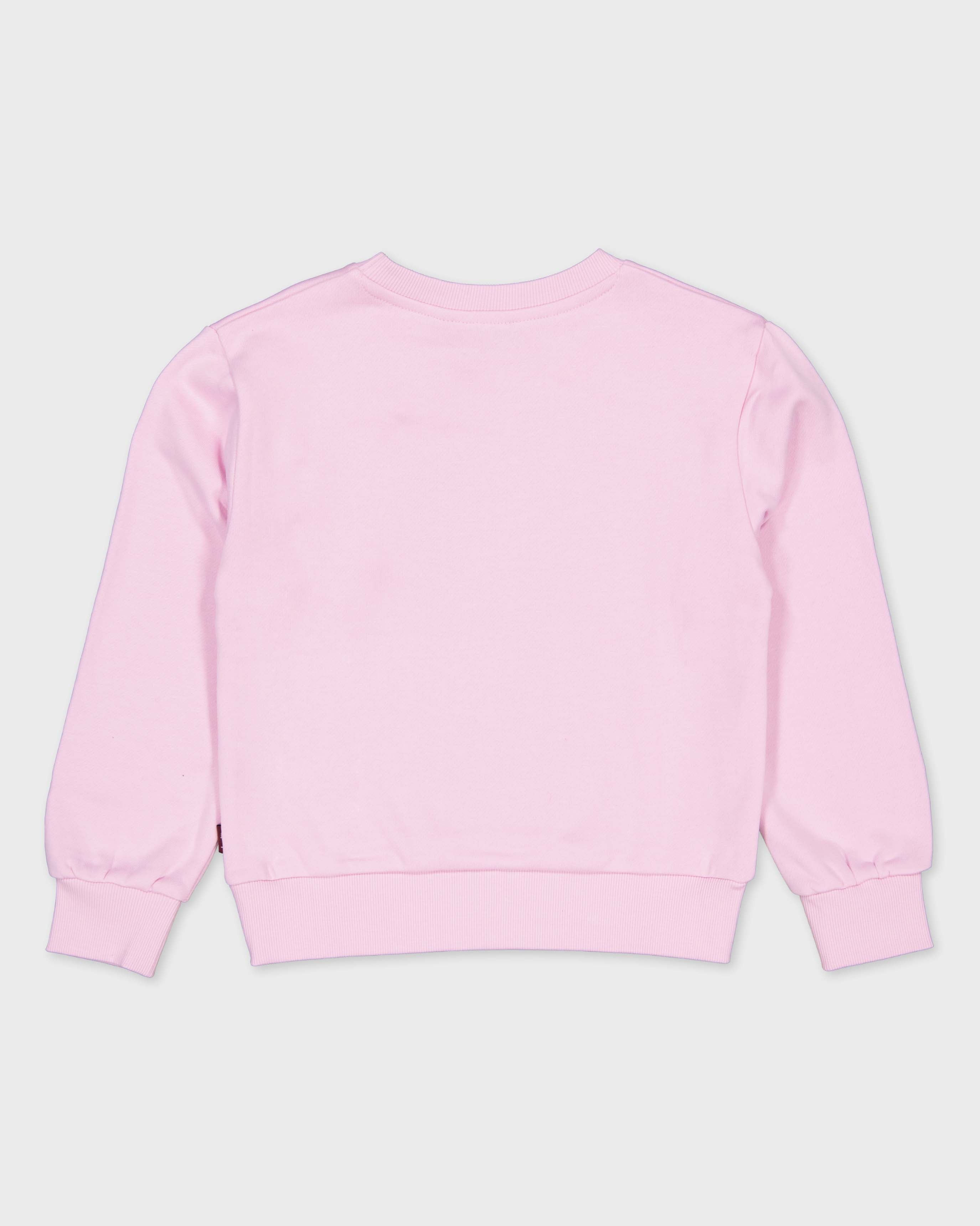 Lichtroze sweater met kleine borduursels | Lavender
