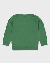 Groene gebreide trui met borduurtje | Gras Green