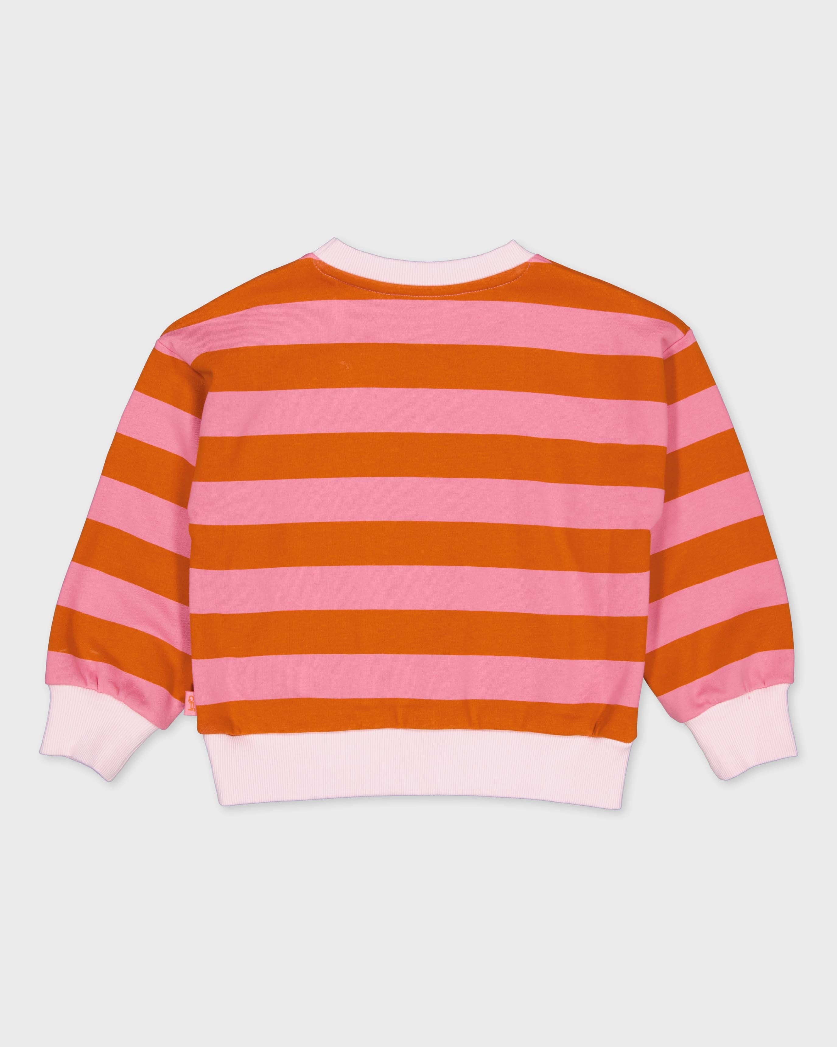 Oranje-roze gestreepte sweater | AOP Orange Stripe