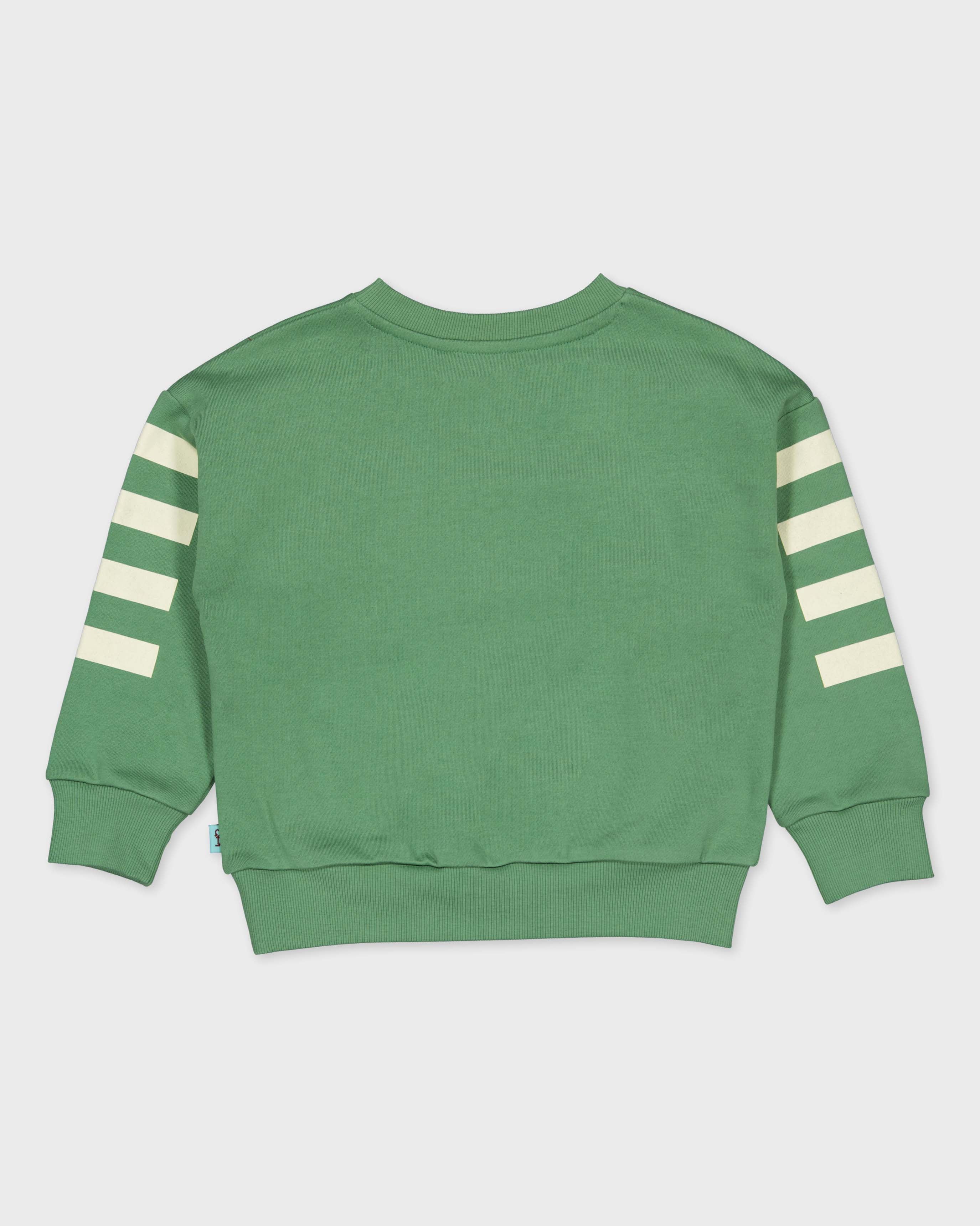 Groene sweater met strepen op de mouwen | Dark Green