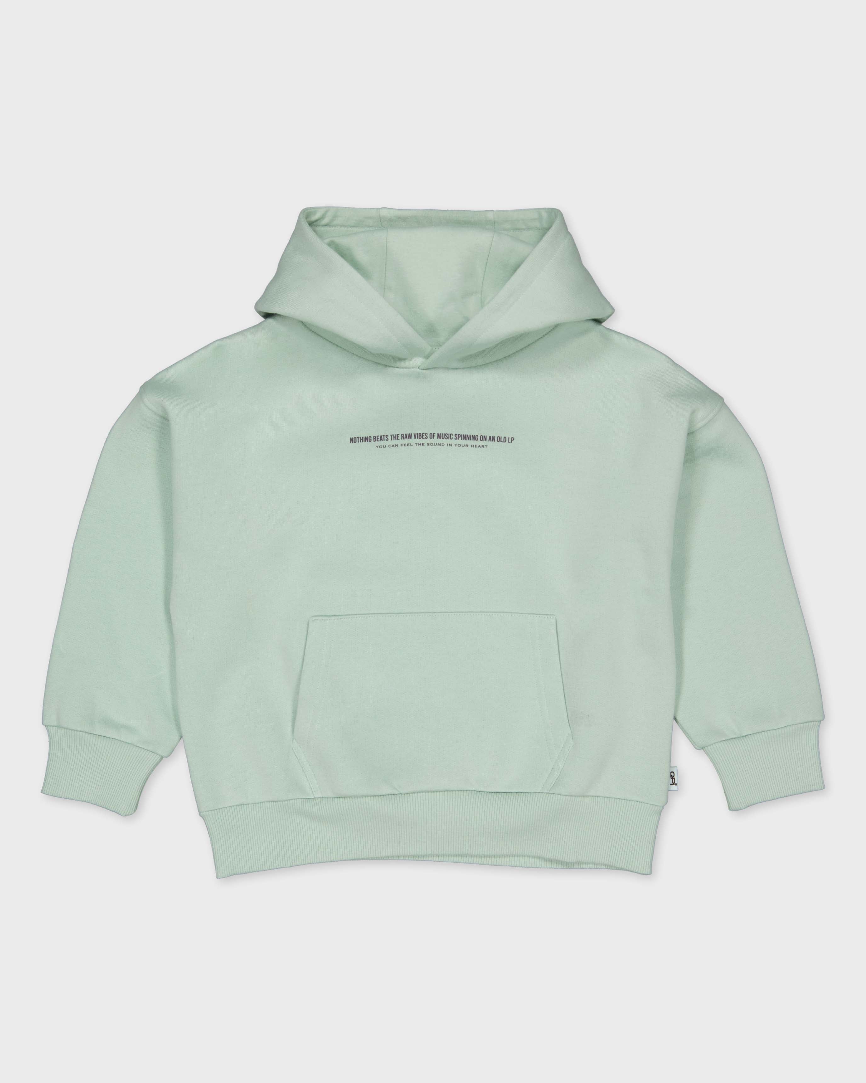 Licht mintgroene hoodie met rugprint | Blue Grey